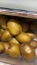 佳沛（zespri）新西兰 阳光金果25-27粒原箱特大果单果124-146g 猕猴桃水果礼盒 实拍图