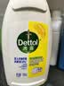 滴露（Dettol）衣物除菌液 柠檬750ml 高效杀菌除螨99.9% 配洗衣液 实拍图