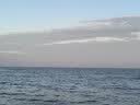 泉阳泉（QUANYANGQUAN）长白山天然矿泉水 大桶装 家庭用水 2L*6桶 整箱塑包装 实拍图