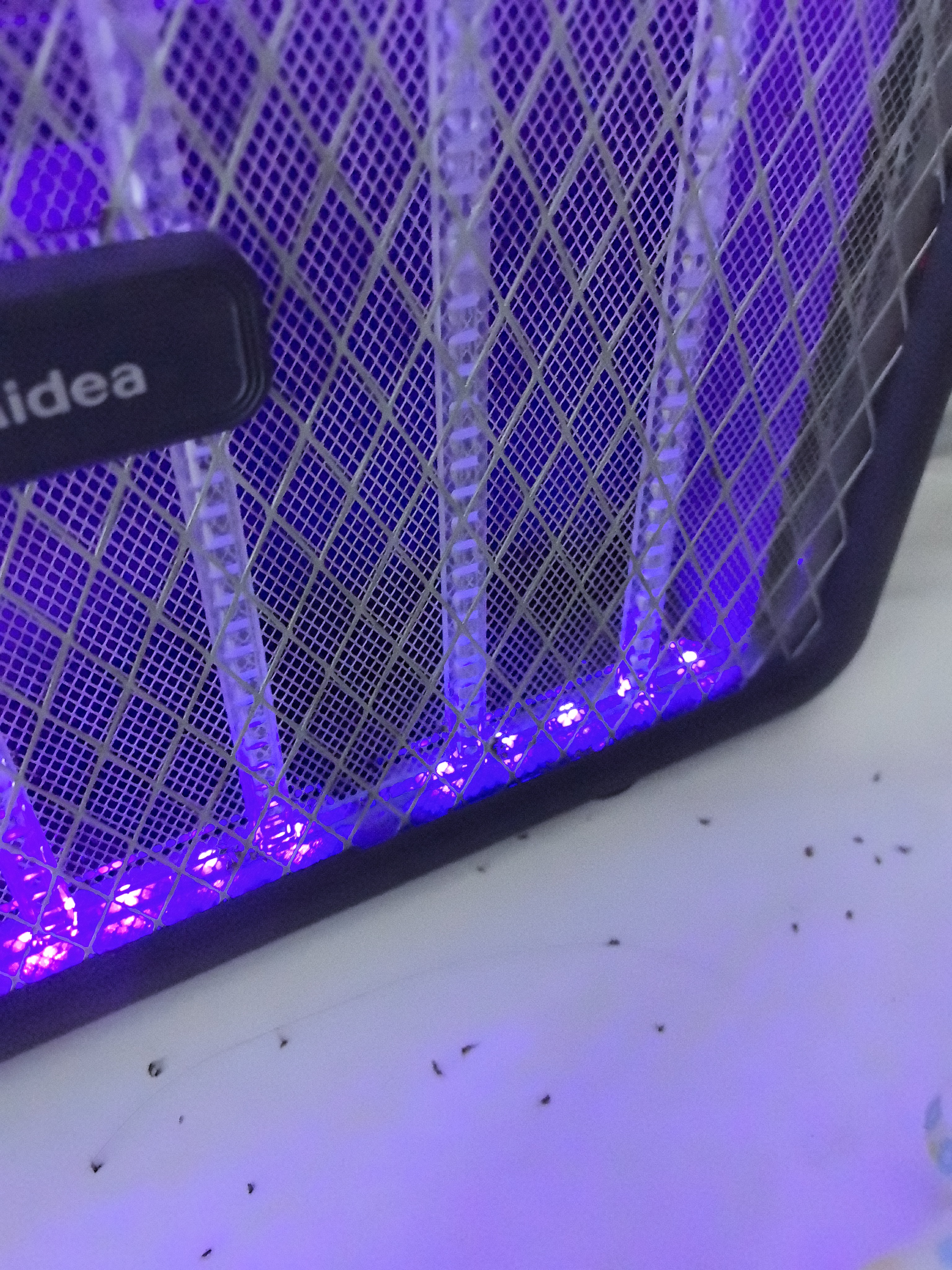 美的（Midea）蓄电式灭蚊灯家商两用灭蚊器驱蚊器物理仿生紫光诱蚊基孔肯雅热 实拍图