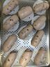 小熊（Bear）面光光面食机 和面机厨师机揉面机 全能中式面点 家用压面机电动面条机饸烙机饺子皮 YMJ-F01L8 实拍图