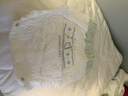 babycare金山茶花拉拉裤XL34片(12-17kg)婴儿尿不湿超薄透气新生柔花苞裤 实拍图