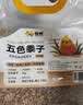 喜帅 五色黍子混色鸟粮2kg （新粮）鹦鹉粮食鸟食虎皮牡丹粮玄凤饲料 实拍图
