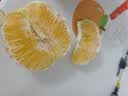 DR.ML炉甘石抑菌止痒膏非皮肤瘙痒痱子湿热疹真菌感染成人婴儿专用20g 实拍图