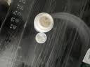 SEEDBALL含氯84消毒片泡腾片瓜果蔬菜洗衣机拖地浴缸马桶消毒液1g*100片 实拍图