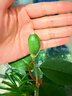 妮维雅（NIVEA）洗面奶女补水保湿洗脸洁面膏氨基酸洁面乳提亮肤色控油学生可卸妆 【推荐组合】保湿焕亮共300g 实拍图