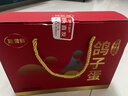 趣尝鲜名特优新鸽子蛋 30枚礼盒 净重600g 杂粮喂养新鲜鸽子蛋 源头直发 实拍图