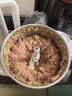 小熊（Bear）绞肉机家用不锈钢 绞馅机 碎肉机 搅肉机打蒜机 3升大容量 2026新款家用  QSJ-P05E3 实拍图