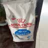皇家室内成猫粮 Indoor27  50g【CRM会员付邮试用专享 请勿单独下单】 实拍图