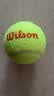 Wilson威尔胜青少年儿童训练网球低压缩网球耐磨Starter WRT137300 实拍图