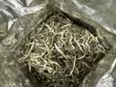 文新绿茶2026新茶小绿罐信阳毛尖特级100g明前罐装毕业礼物送老师 实拍图