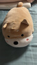 名创优品（MINISO）趴姿大号趣味狗狗公仔玩偶玩具娃娃抱枕靠枕生日礼物女 卡其色 实拍图