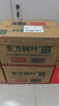 农夫山泉【新口味】东方树叶陈皮白茶500ml*15瓶无糖茶饮料0糖0脂0卡 实拍图