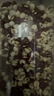 十月稻田 赤豆薏米粥 2斤 杂粮粥米 赤小豆小粒薏仁米 红豆薏米 煮粥煮水 实拍图