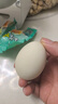 【热销百万单】正宗咸鸭蛋50g/枚饱满流油生鲜超市早餐新鲜即食 12枚 实拍图