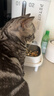 小佩AI宠物智能自动双子星喂食器可视版2代 多猫识别(支持鸿蒙智联) 实拍图