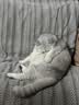 FARMINA PET FOODS法米娜减肥猫粮鲱鱼甜橙绝育成猫粮5kg 实拍图