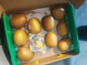 佳沛（zespri）新西兰阳光金奇异果 9个装单果重约175-204g 源头直发一件包邮 实拍图