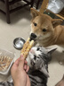 HELLOJOY狗狗零食宠物泰迪金毛幼犬成犬训练奖励 鸡肉绕奶棒1000g 实拍图