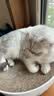 珍致（FancyFeast）珍致猫条猫零食喵酱之吻泰国进口软罐头成幼猫湿粮 【鸡肉+南瓜40g*10】 实拍图