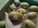 佳沛（zespri）新西兰 阳光金奇异果12粒特大果单果124-146g 猕猴桃水果礼盒 实拍图