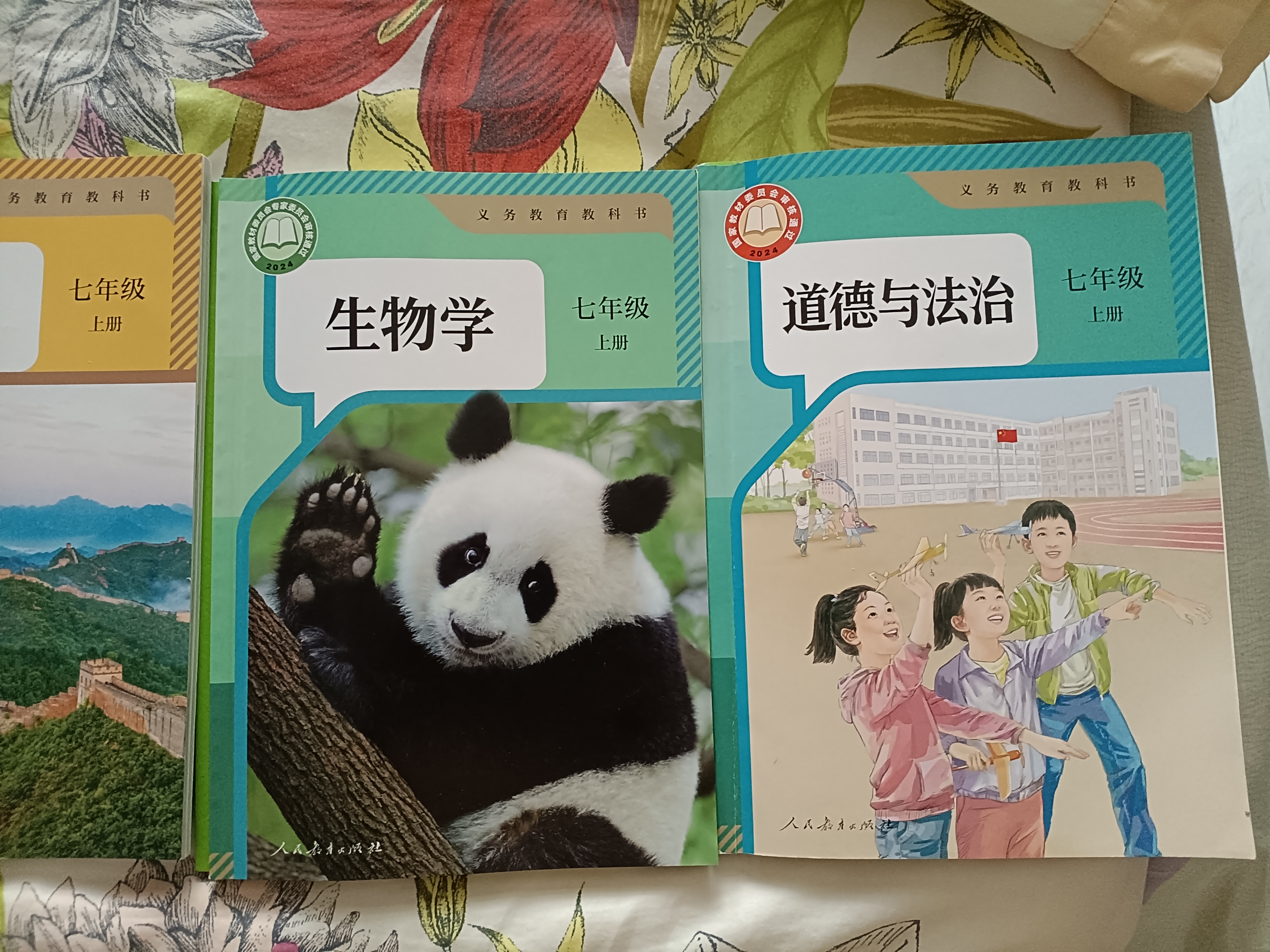 京东京造扫把簸箕套装 家用清洁垃圾铲加密梳齿笤帚扫地扫帚两件套 实拍图