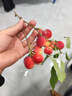 绿联车载充电器超级快充 一拖三点烟器充电头转换器插头130W支持小米90W苹果华为快充PD100W笔记本PPS 实拍图