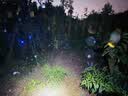 汉轩自动洒水器360度旋转喷淋喷头园林绿化菜地草坪灌溉降温浇水神器 自动浇水器+2个4分接口+奶嘴 实拍图
