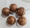 三只松鼠夏威夷果500g约24-26mm儿童每日坚果炒货休闲零食团购送礼 实拍图