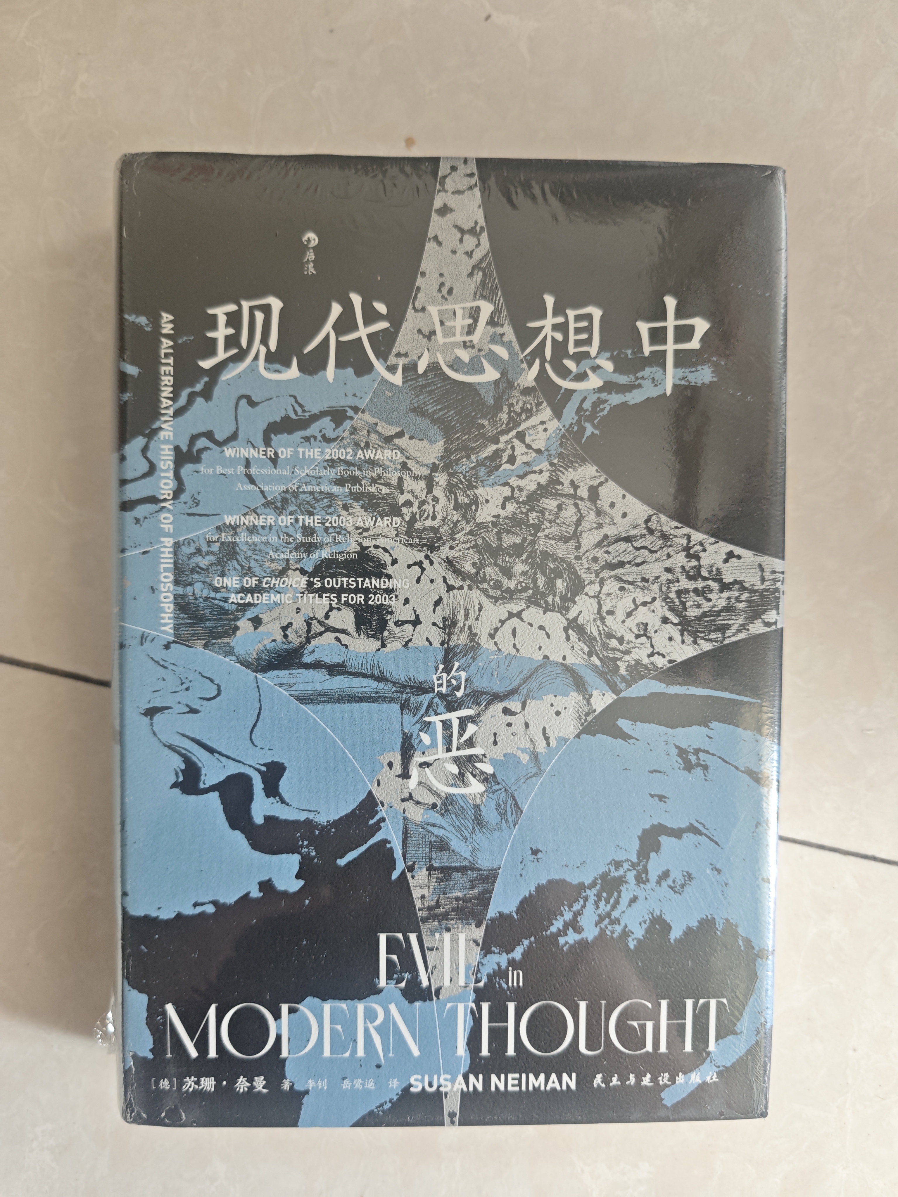 智慧宫丛书039现代思想中的恶 荣获美国出版商协会“最佳哲学专业/学术著作奖” 哲学经典 实拍图
