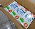 伊利纯牛奶250ml*24盒 优质乳蛋白早餐奶 4月产 实拍图