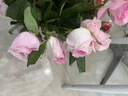 京东鲜花云南昆明基地随机色玫瑰鲜切花束买20枝送10枝鲜花源头直发 实拍图