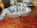 疯狂的主人剑麻猫抓板猫窝猫咪玩具猫爪板耐磨不掉屑耐抓麻绳一体猫咪用品 实拍图