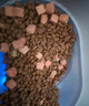 麦富迪猫粮 超肉粒冻干双拼成猫粮美毛护肠三文鱼10kg/20斤【宠物金选】 实拍图