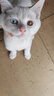 艾尔猫粮成猫幼年猫粮 【5斤】深海鱼3包+牛肉鲑鱼2包 实拍图