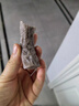 九洲丰园有机蔬菜泥馒头640g /16个儿童早餐食品半成品早饭面点山东馒头 实拍图