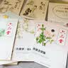 六品堂凹槽练字帖成人行书速成行楷钢笔字帖硬笔男女生反复自动消失成年字体临摹大学生书法练习专用 实拍图