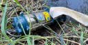 臣源潜水泵220V家用水井水抽水泵不锈钢农用小型污水泵灌溉浇菜高扬程 370W/1寸不锈钢清水泵【10米线+10米水带】 实拍图