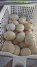 1号会员店（One's Member）DHA可生食鲜鸡蛋30枚  源头直发 净重3斤无菌蛋早餐 实拍图