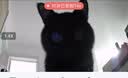 萤石C6c 3K云台增强版 500万极清 室内智能无线监控器家用摄像头 双向通话 手机远程 婴儿看护器 实拍图