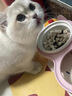 阿飞和巴弟猫粮E76益生菌全价冻干双拼全阶段猫粮2kg*5袋装10kg【宠物金选】 实拍图