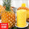 广东徐闻香水菠萝新鲜水果生鲜热带孕妇水果整箱包邮 1个装 单果1.3-1.5斤 实拍图