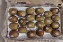 佳沛（zespri）新西兰阳光金奇异果16粒礼盒经典果单果 88-103g  猕猴桃水果礼盒 实拍图