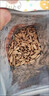 洽洽打手瓜子500g 经典五香味坚果炒货休闲零食大颗粒赤峰脱皮葵花籽 实拍图