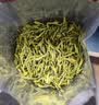 贡苑正宗安徽黄山毛峰500g绿茶2026新茶高山嫩芽口粮茶散装茶叶自己喝 实拍图