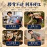 同仁堂艾草腰椎贴草本贴敷艾灸贴腰间盘突出专用关节护腰贴温养三伏贴 实拍图