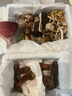 京地达云南特产新鲜见手青菌净重200g装牛肝菌食用菌源头直发包邮 实拍图