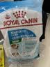 皇家狗粮幼犬奶糕幼犬狗粮宠物小型犬MIS30全价犬粮 ≤2月3KG 实拍图