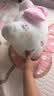 名创优品（MINISO）Hello kitty凯蒂猫床头靠垫沙发靠枕学生宿舍伴睡女生专用午休枕 实拍图