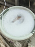 迷你洗衣机便携家用小型出租屋旅行学生宿舍用清洗机内衣裤袜子婴儿搅拌清洗机懒人神器 标准款【清洁去污】 实拍图